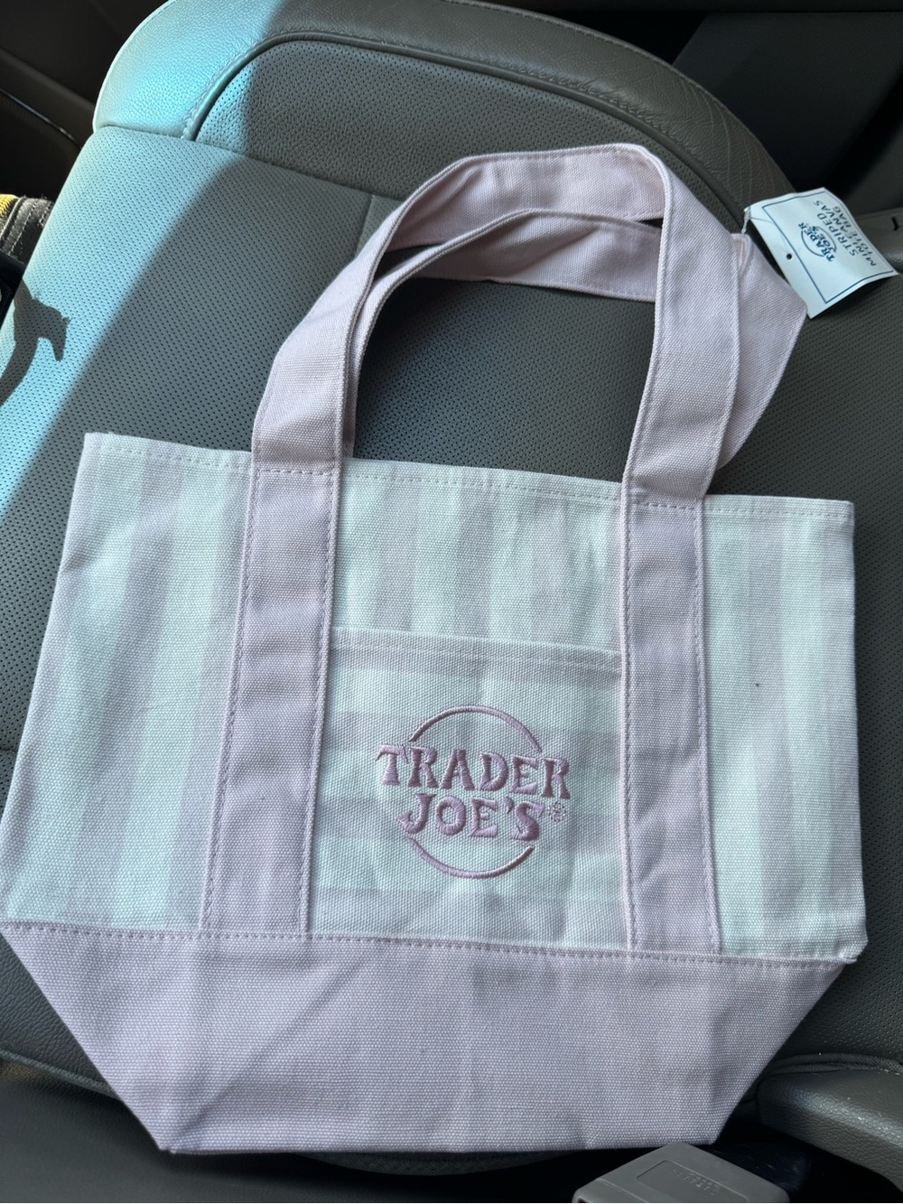 Trader Joe’s Pink Canvas striped mini Tote Bag